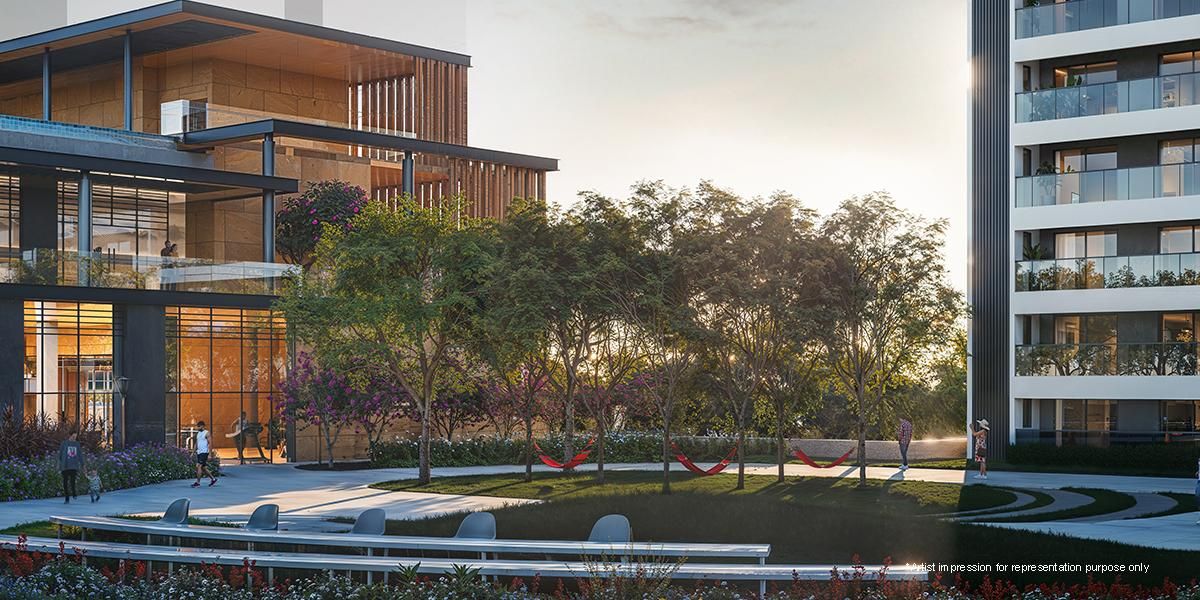 Skywalks & Waterfall